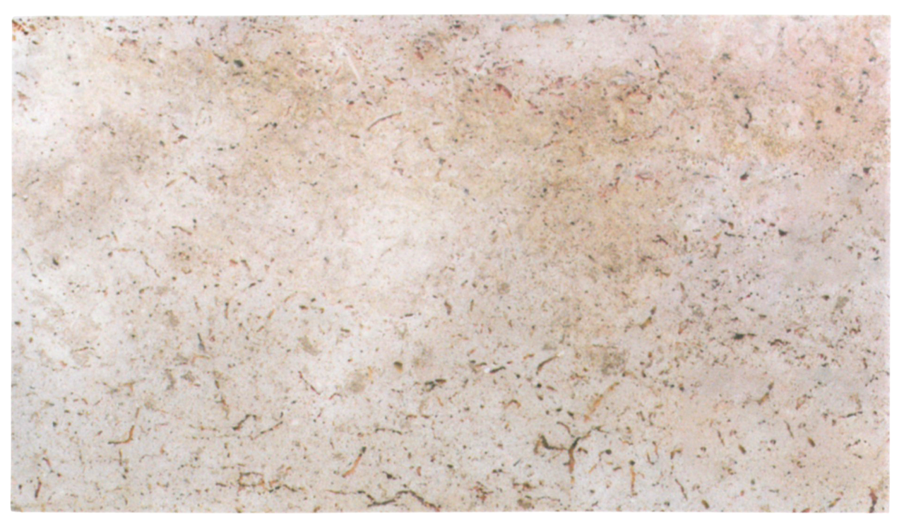 Travertin Latte „Cross Cut Honed”