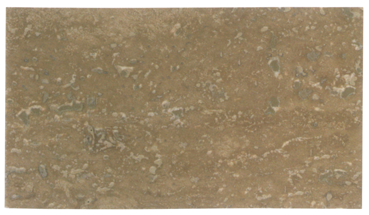 Travertin Noce „Cross Cut Honed”