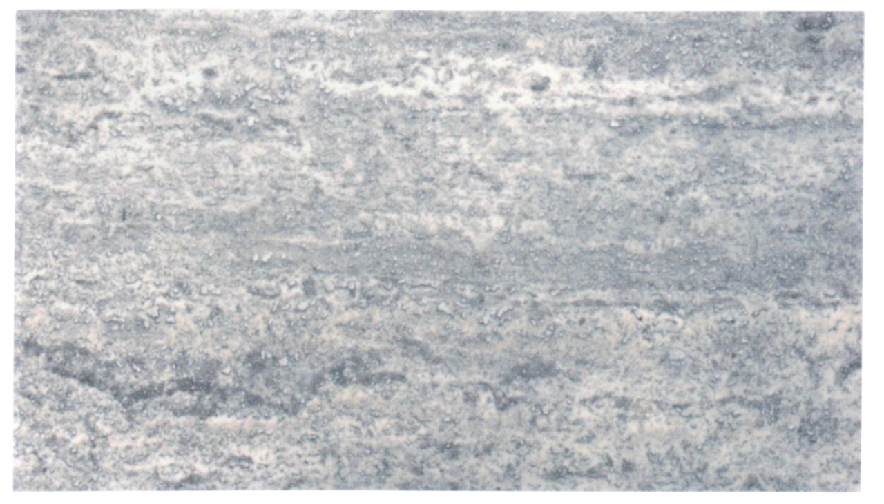 Travertin Silver „Vein Cut Honed”