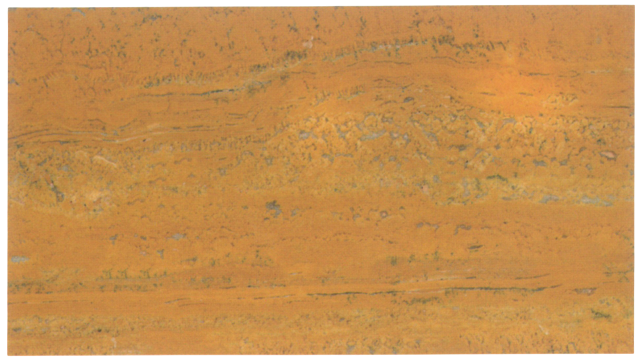 Travertin Golden Sienna „Vein Cut Polished”