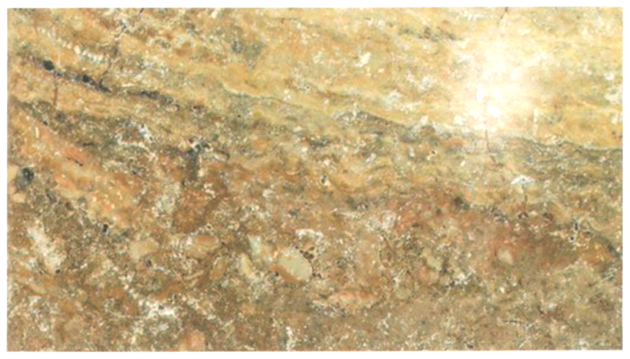 Travertin Mistique „Vein Cut Polished”